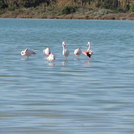 公寓 Residenza Serra *