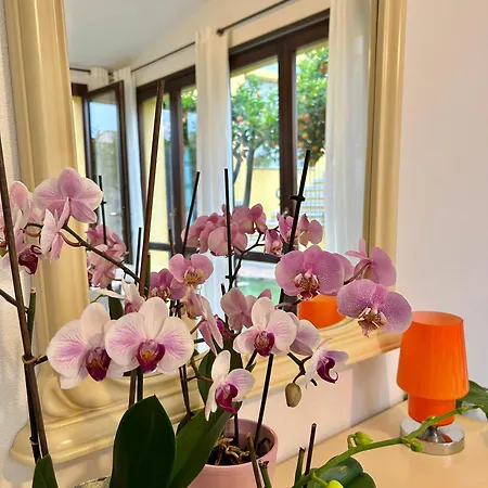 公寓 Residenza Serra