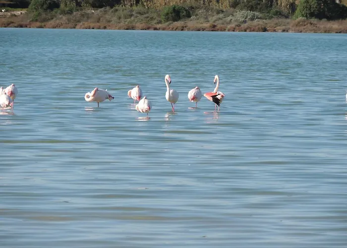 Apartment Residenza Serra *