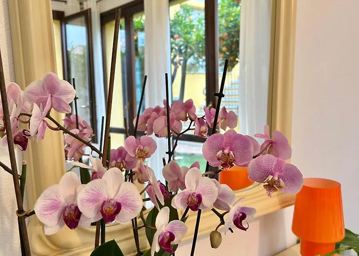 Apartment Residenza Serra